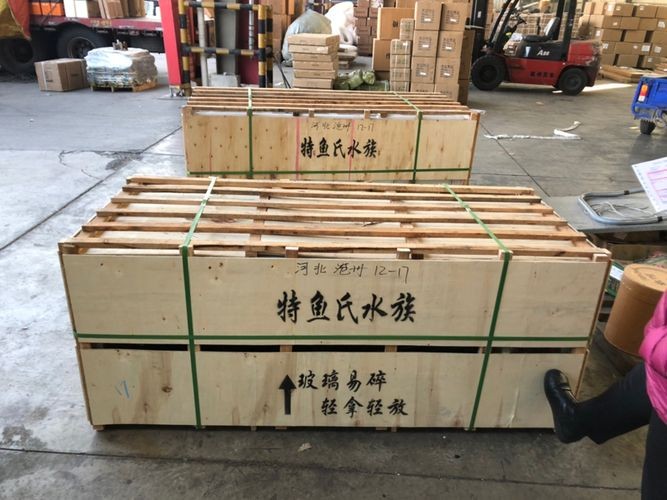 特魚氏魚缸評測：特魚氏魚缸售后政策詳解特魚氏魚缸與其他品牌對比