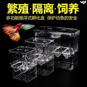 過濾魚缸多少錢一個（智能魚缸過濾系統維護魚缸過濾系統維護技巧）