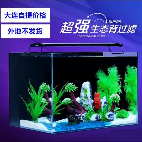 過濾魚缸多少錢一個（智能魚缸過濾系統維護魚缸過濾系統維護技巧）