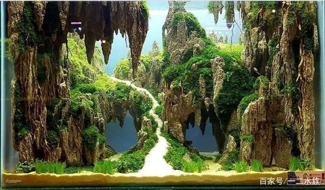 魚缸造景的技術(shù)原理和使用方法：智能魚缸造景技術(shù)原理和使用方法，讓你的魚缸變得更好