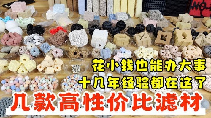 長春汽車經濟技術開發區艷紅綠植花卉店