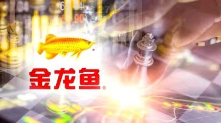 金龍魚要24小時開燈：金龍魚不需要24小時開燈，這種做法可能對健康產生不利影響