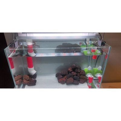 森森魚缸測評：森森魚缸怎么樣