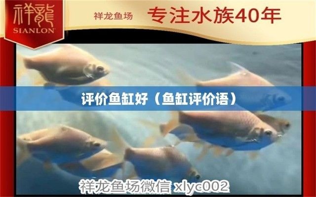夸贊魚缸的話：魚缸搭配風水講究：魚缸搭配風水講究,魚缸搭配風水講究