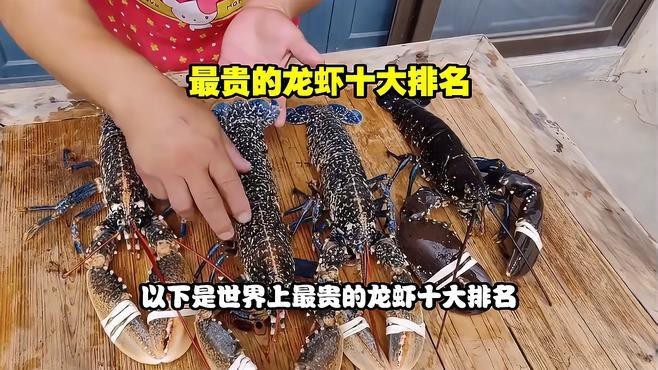 十大龍蝦中哪個最貴？