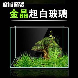 金晶魚缸：金晶魚缸與普通魚缸對比,金晶魚缸生態系統構建方法