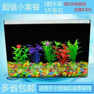 適合淡水魚缸的水草有哪些？：適合淡水魚缸的水草