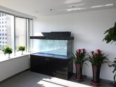 電梯入口對面放魚缸是否合適之前需要了解風水知識：電梯入口對面放魚缸合適之前需要了解一些關于風水的知識