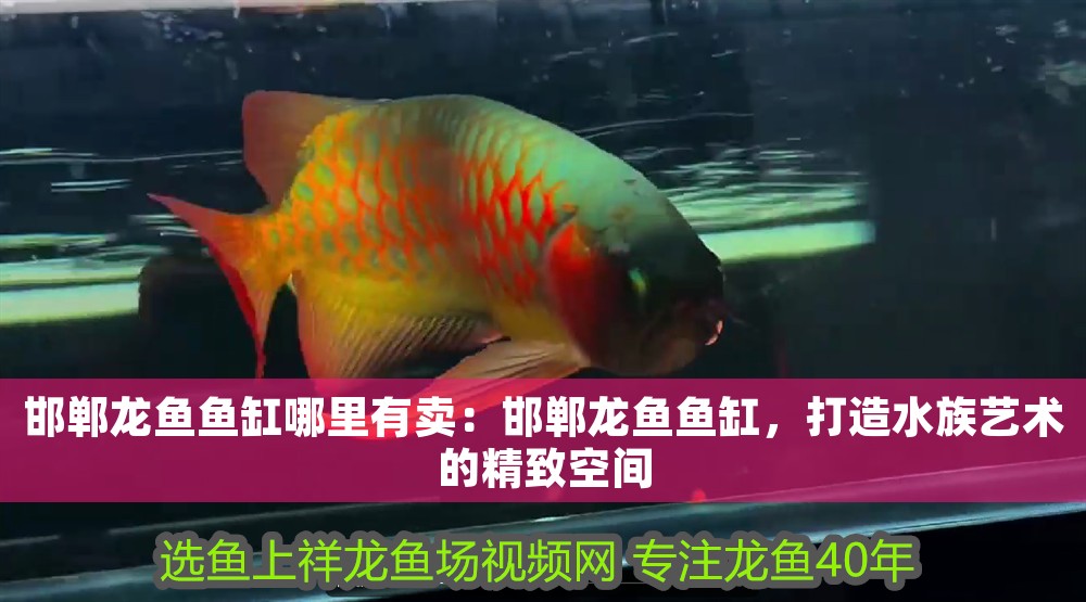 邯鄲龍魚魚缸哪里有賣：邯鄲龍魚魚缸，打造水族藝術的精致空間 邯鄲龍魚魚缸哪里有賣：邯鄲龍魚魚缸，打造水族藝術的精致空間 魚缸百科 第1張