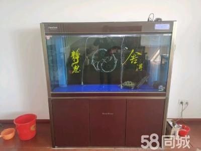 龍魚浮在水面上怎么辦：龍魚為什么浮在水面上