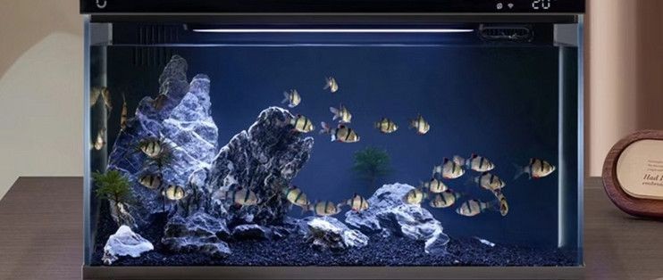 小米幾何魚缸：小米幾何魚缸維護成本