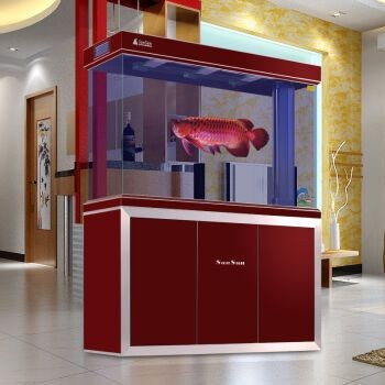 龍魚(yú)魚(yú)缸品牌十大排名最新圖片大全：龍魚(yú)魚(yú)缸品牌最新排名