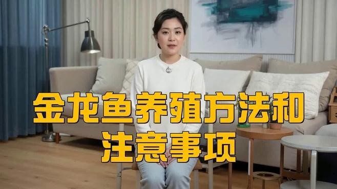 龍魚飼養需要哪些基本設備？
