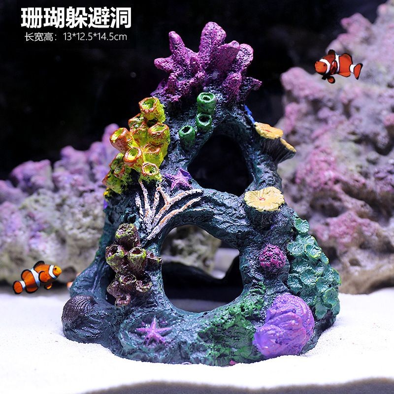 魚缸珊瑚造景圖片欣賞：精美的魚缸珊瑚造景圖片欣賞