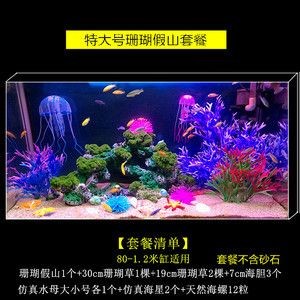 魚缸珊瑚造景圖片欣賞：精美的魚缸珊瑚造景圖片欣賞