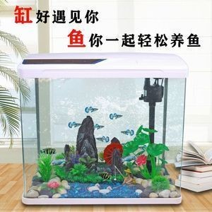方形玻璃魚缸適合放置在方形玻璃魚缸中的常見魚類：方形玻璃魚缸的養(yǎng)護技巧如何正確養(yǎng)護玻璃魚缸是非常重要的 方形玻璃魚缸適合放置在方形玻璃魚缸中的常見魚類：方形玻璃魚缸的養(yǎng)護技巧如何正確養(yǎng)護玻璃魚缸是非常重要的 魚缸百科 第3張