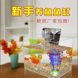 方形玻璃魚缸適合放置在方形玻璃魚缸中的常見魚類:方形玻璃魚缸的養(yǎng)護技巧如何正確養(yǎng)護玻璃魚缸是非常重要的 魚缸百科 第4張 方形玻璃魚缸適合放置在方形玻璃魚缸中的常見魚類:方形玻璃魚缸的養(yǎng)護技巧如何正確養(yǎng)護玻璃魚缸是非常重要的 方形玻璃魚缸適合放置在方形玻璃魚缸中的常見魚類:方形玻璃魚缸的養(yǎng)護技巧如何正確養(yǎng)護玻璃魚缸是非常重要的 魚缸百科 第4張