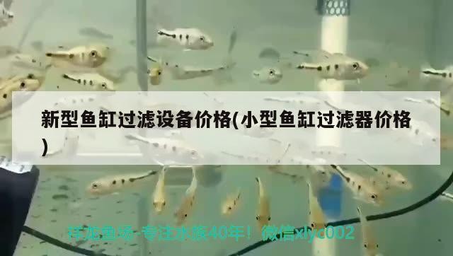 合肥廬陽(yáng)區(qū)千卉閣花店