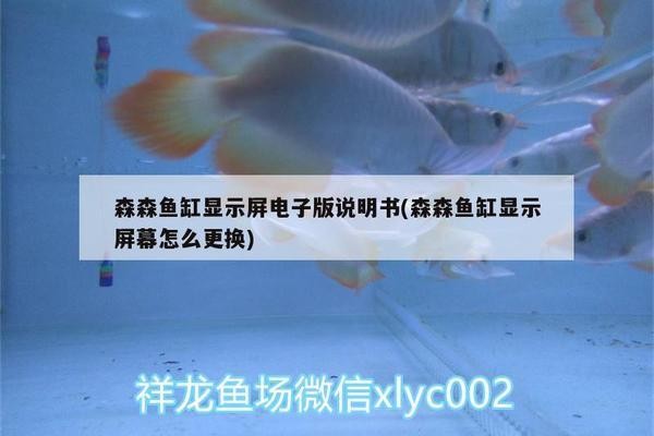 <strong><mark>伊州</mark></strong>區七一路鳥語花香觀賞魚店