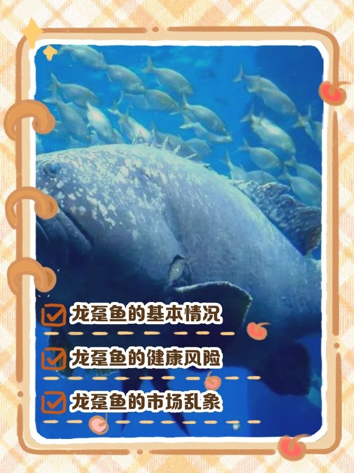 龍躉的常見烹飪方法有哪些？