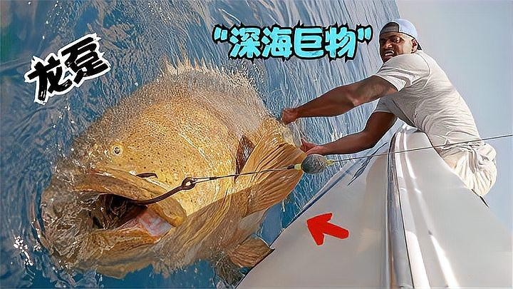 龍躉的常見烹飪方法有哪些？