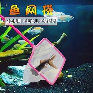 兒童魚缸里的小魚：兒童畫魚缸基本步驟