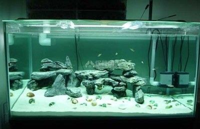 海灘造景魚缸裝飾diy：創意魚缸裝飾diy