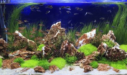 海灘造景魚缸裝飾diy：創意魚缸裝飾diy