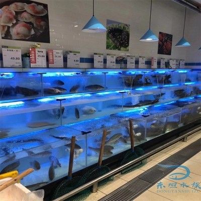 海鮮魚缸的消毒技術：海鮮魚缸消毒技術