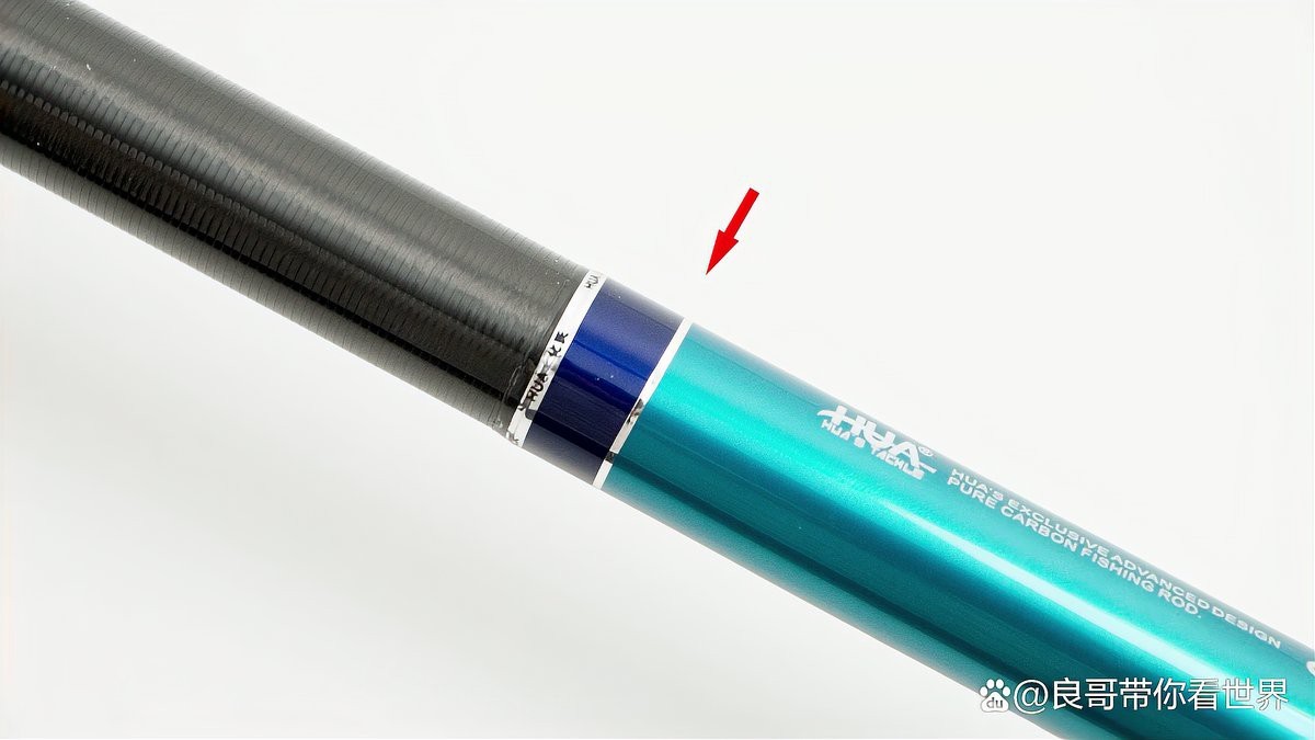化氏龍紋鯉系列中哪款性價比最高？ 化氏龍紋鯉系列中哪款性價比最高？ 龍魚百科 第11張