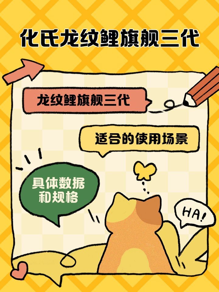 化氏龍紋鯉系列中哪款性價比最高？ 化氏龍紋鯉系列中哪款性價比最高？ 龍魚百科 第12張