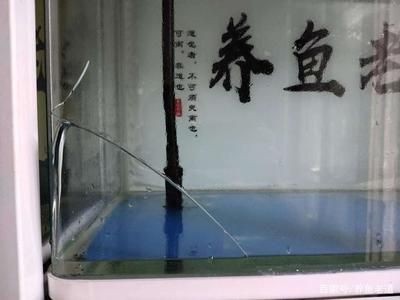 鋼化玻璃魚缸爆缸的應急措施對魚缸爆缸的應急措施：鋼化玻璃魚缸爆缸怎么辦