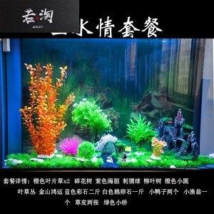 魚缸樹造景（關于魚缸樹造景的一般步驟和注意事項）