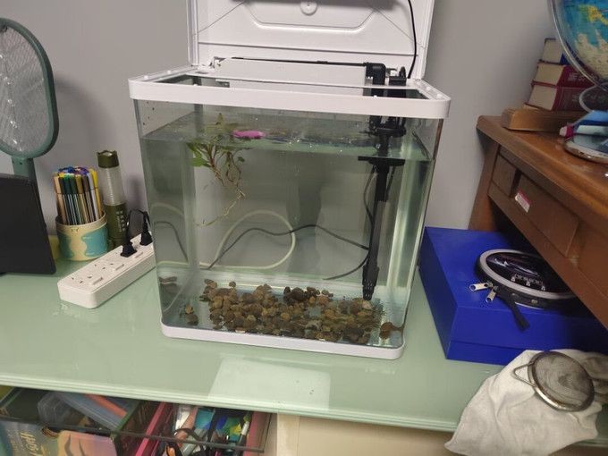 意牌的魚缸質(zhì)量可以嗎？：意牌魚缸售后服務(wù)改善措施意牌魚缸與其他品牌對比