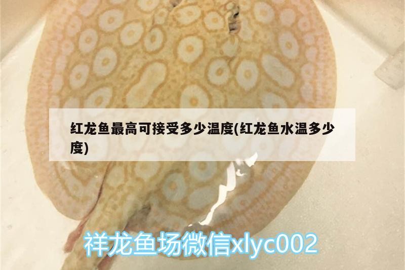 <strong><mark>喀喇沁</mark></strong>旗鑫藝深花店