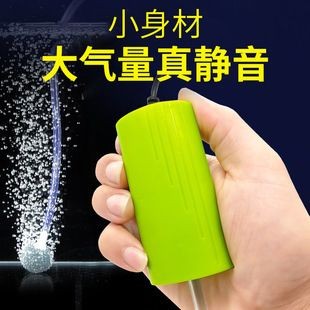 化州魚缸養護與設計指南，魚缸養護與設計指南：化州寵物文化探秘