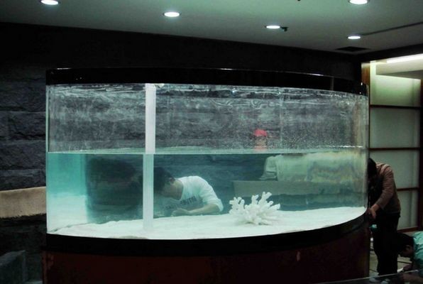 化州魚缸養護與設計指南，魚缸養護與設計指南：化州寵物文化探秘