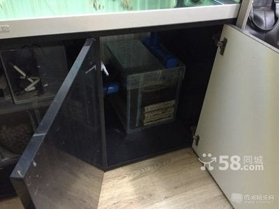 德克魚缸魚缸品牌的優缺點分析德克魚缸的優缺點分析：德克底濾魚缸的優缺點分析