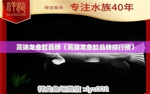 品牌龍魚(yú)缸排名前十名