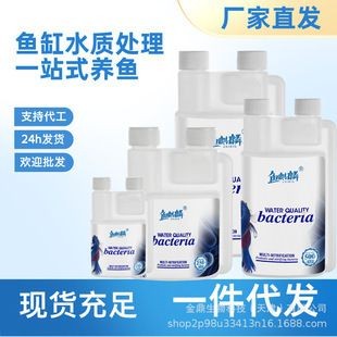 麒麟放魚缸里好不好：魚缸擺放風(fēng)水講究有哪些
