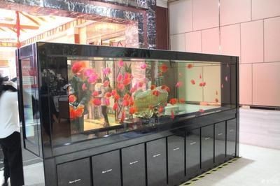 伊金霍洛旗薛三觀賞魚養殖場（伊金霍洛旗賣觀賞魚位置）