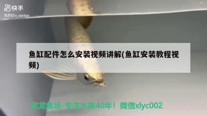 魚缸安裝說明視頻教程：如何正確安裝魚缸