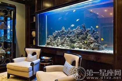客廳西南方位擺放魚缸效果：客廳西南方位擺放魚缸的風水禁忌和實際操作建議