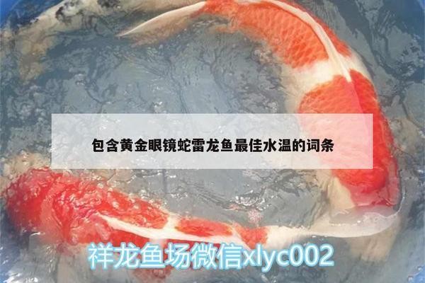 保定市<strong><mark>徐水</mark></strong>區大森林水族店（保定市<strong><mark>徐水</mark></strong>區大森林水族店電話）