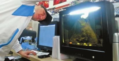 魚(yú)缸上的顯示器怎么調(diào)試：魚(yú)缸顯示器怎么調(diào)試