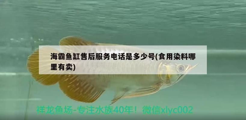 海霸魚缸客服電話是多少：如何聯系海霸魚缸客服