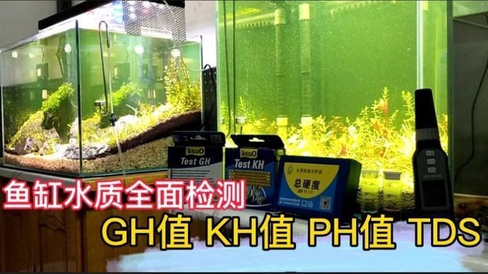 魚缸水草發黃爛葉怎么辦，如何正確給水草施肥