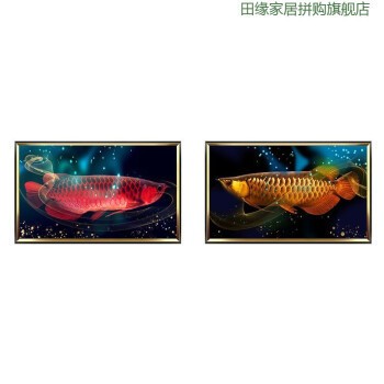 新鄭市薛店鎮宜家水族館