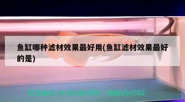 阿魯科爾沁旗天山鎮愛魚者觀賞魚大世界城（房產方面的律師）