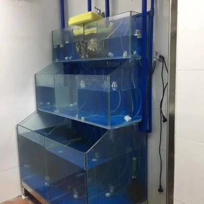 廣東夏季魚(yú)缸水溫一般多少？：夏季養(yǎng)魚(yú)常見(jiàn)誤區(qū)與對(duì)策夏季養(yǎng)魚(yú)常見(jiàn)誤區(qū)與對(duì)策